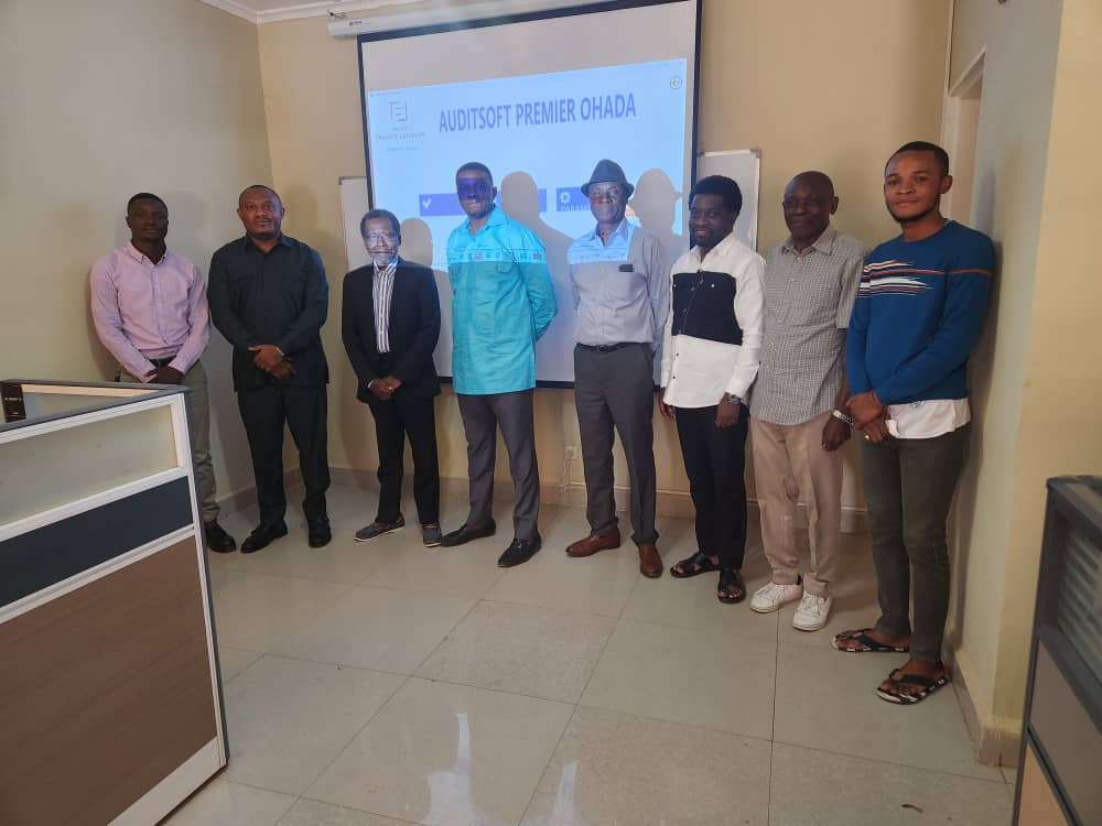 Professional team collaboration